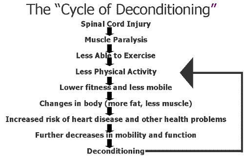cycle of deconditioning